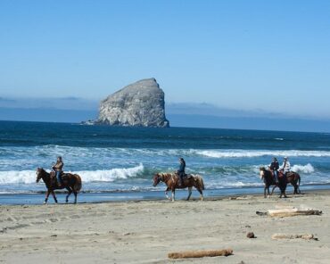 Horse Riding in Salem Oregon