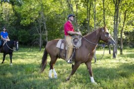 Horse Riding in Schaumburg Illinois