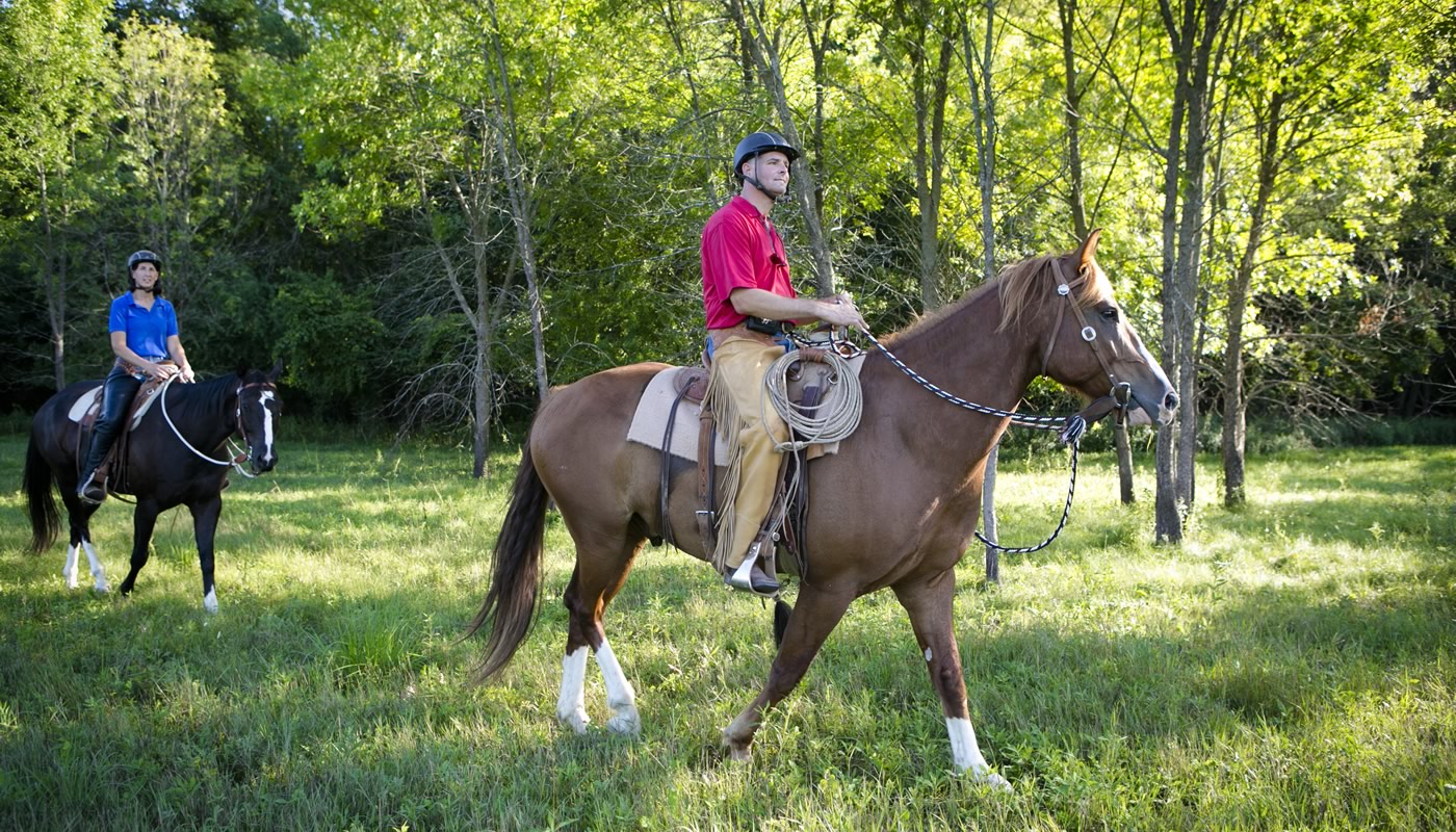 Horse Riding in Schaumburg Illinois