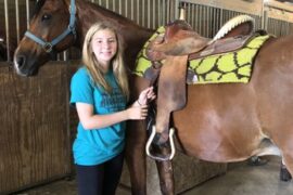 Horse Riding in Springfield Illinois