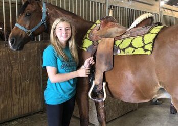 Horse Riding in Springfield Illinois