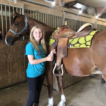 Horse Riding in Springfield Illinois