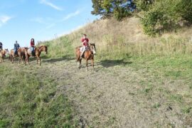 Horse Riding in St. Paul Minnesota