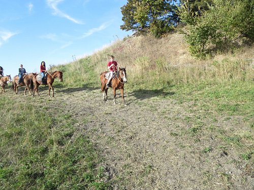 Horse Riding in St. Paul Minnesota