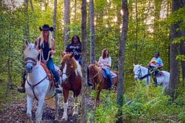 Horse Riding in Suffolk Virginia