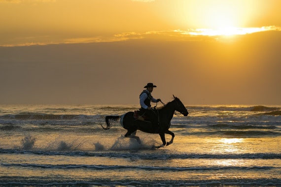 Horse Riding in Sunrise Florida