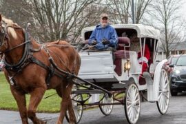 Horse Riding in Syracuse New York