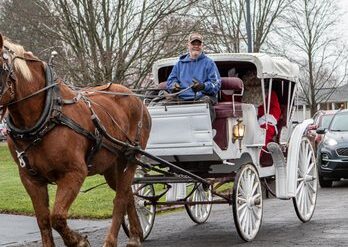 Horse Riding in Syracuse New York