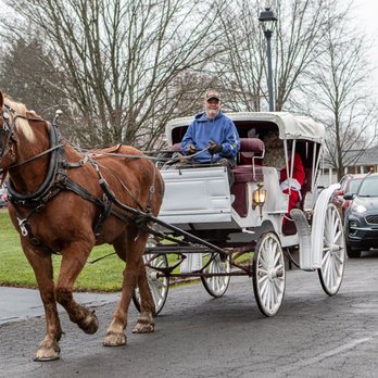 Horse Riding in Syracuse New York