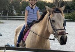 Horse Riding in Tamarac Florida