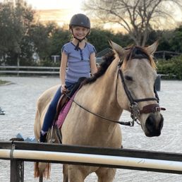 Horse Riding in Tamarac Florida