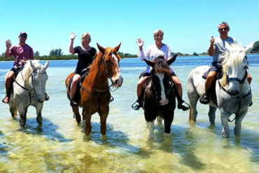 Horse Riding in Tampa Florida