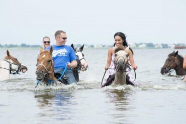 Horse Riding in Virginia Beach Virginia