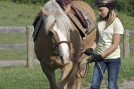 Horse Riding in Waldorf Maryland