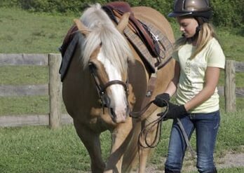 Horse Riding in Waldorf Maryland