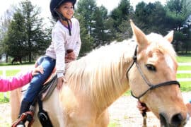 Horse Riding in Waterbury Connecticut