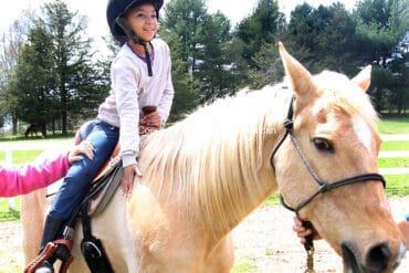 Horse Riding in Waterbury Connecticut