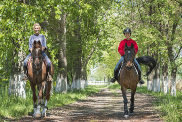 Horse Riding in Woodbury Minnesota