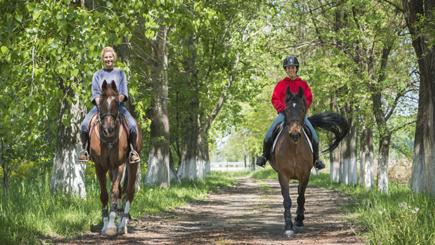 Horse Riding in Woodbury Minnesota