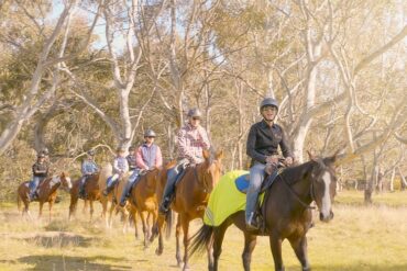 Horse Riding in Woodlands