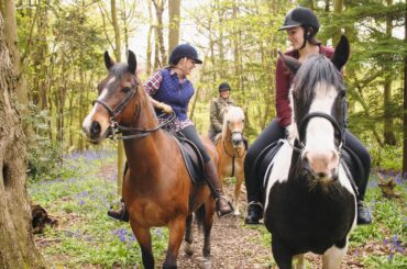 Horse Riding in Yonkers New York