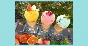 Ice Cream Places in Chesapeake Virginia