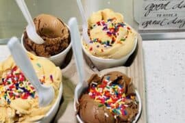 Ice Cream Places in Deltona Florida