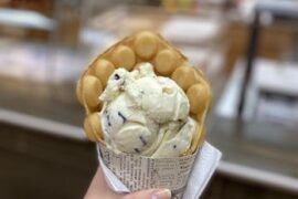 Ice Cream Places in Miramar Florida