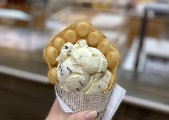 Ice Cream Places in Miramar Florida