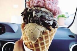 Ice Cream Places in Montgomery Alabama