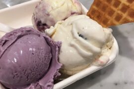 Ice Cream Places in North Charleston South Carolina