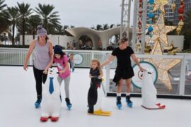 Ice Skating in Davie Florida