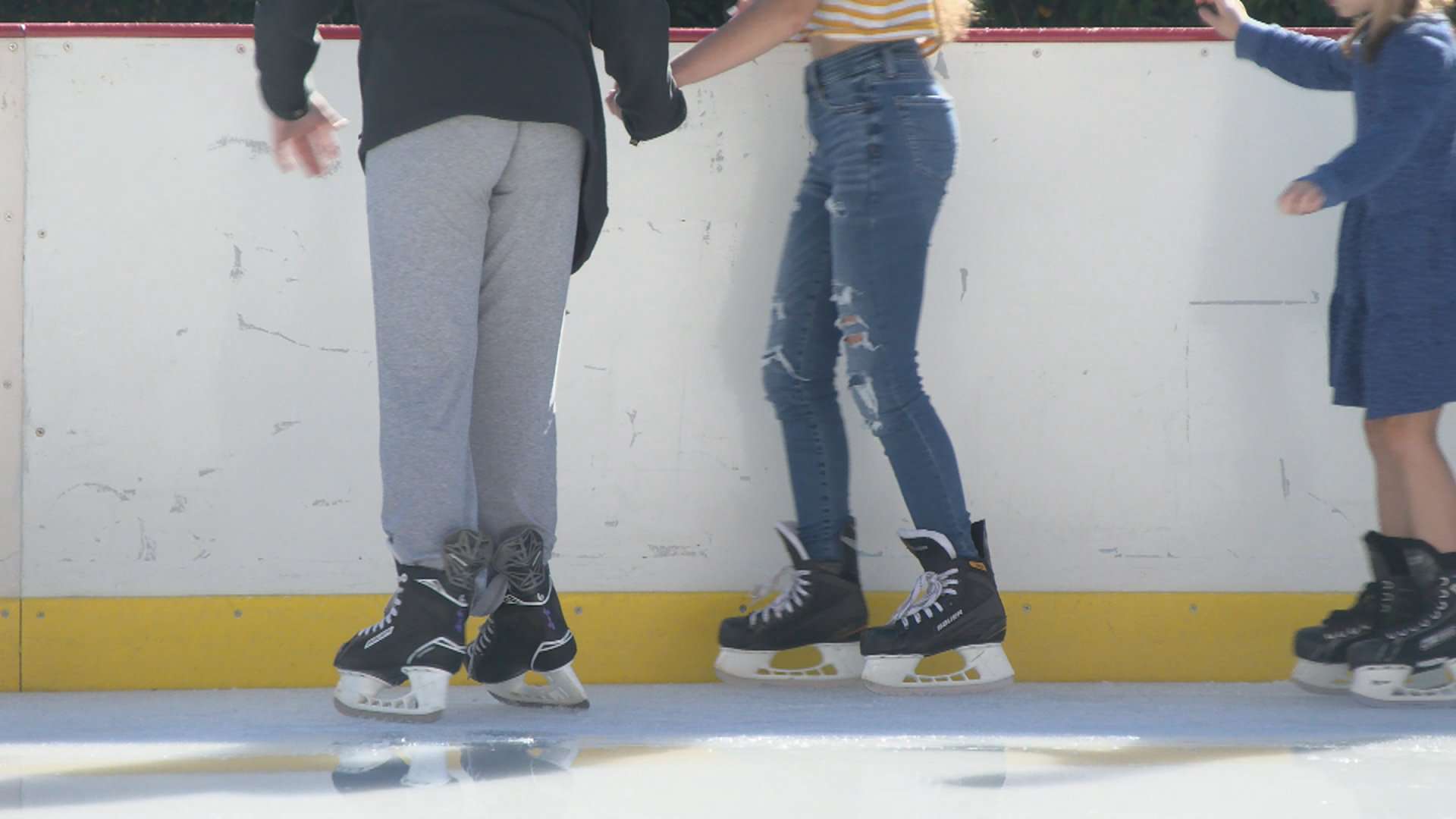 Ice Skating in Dothan Alabama