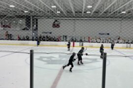 Ice Skating in Elgin Illinois