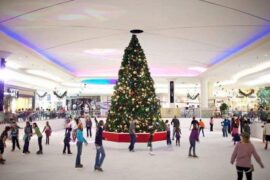 Ice Skating in Montgomery Alabama