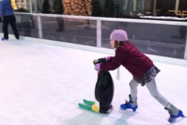 Ice Skating in Omaha Nebraska