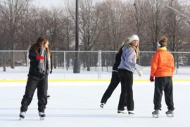 Ice Skating in Palatine Illinois