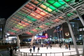 Ice Skating in Silver Spring Maryland