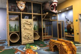 Indoor Activities for Kids in Broomfield Colorado