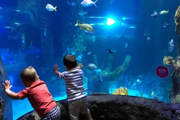 Indoor Activities for Kids in Orlando Florida