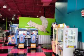 Indoors Playgrounds in Wesley Chapel Florida