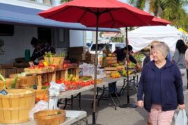 Markets in Lehigh Acres Florida