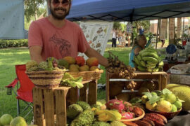 Markets in Tampa Florida