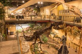 Museums in Billings Montana