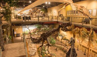 Museums in Billings Montana