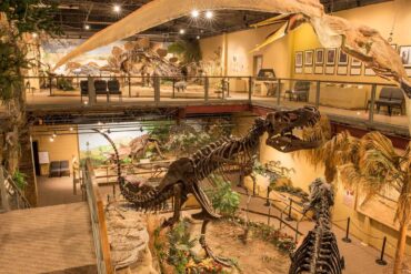 Museums in Billings Montana