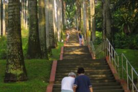 National Parks in Ang Mo Kio