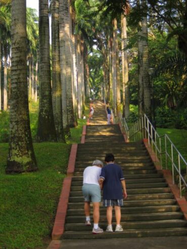 National Parks in Ang Mo Kio