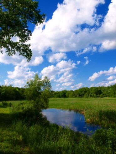 National Parks in Arlington Heights Illinois