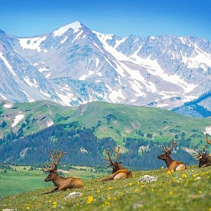 National Parks in Arvada Colorado